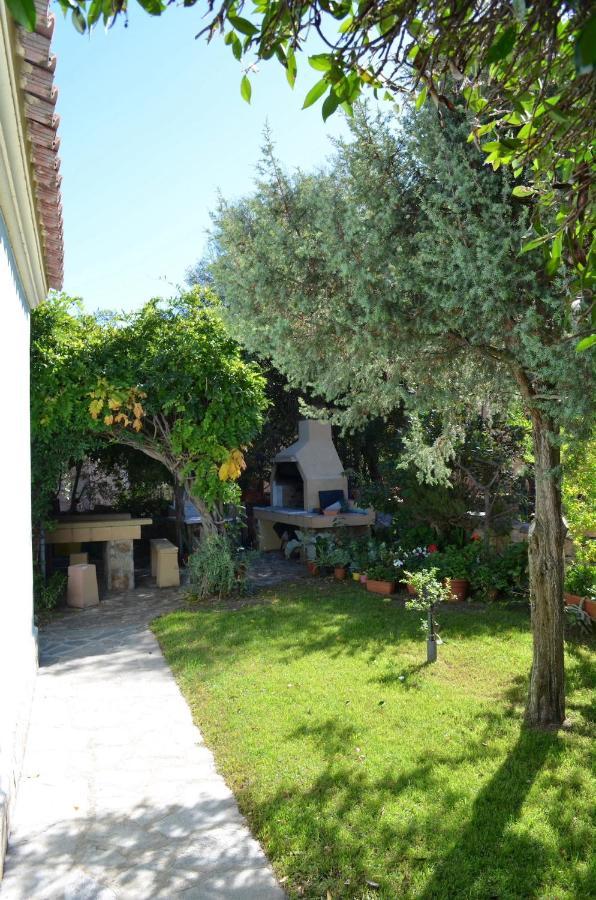 Iss Travel, La Padula - Apartments With Private Veranda And Parking 圣特奥多罗 外观 照片